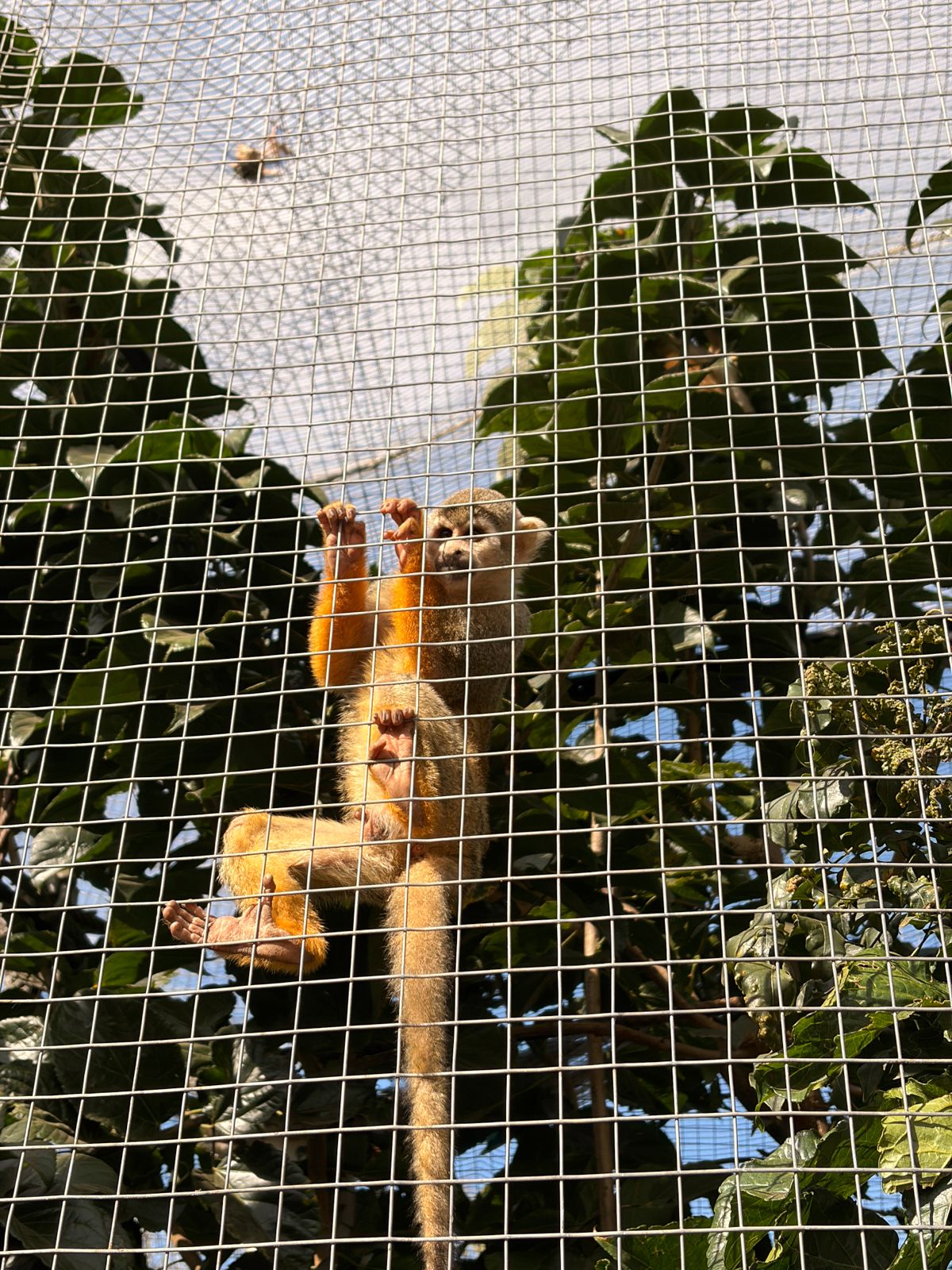 WILDTHINGZ FIELDTRIP 2026 65