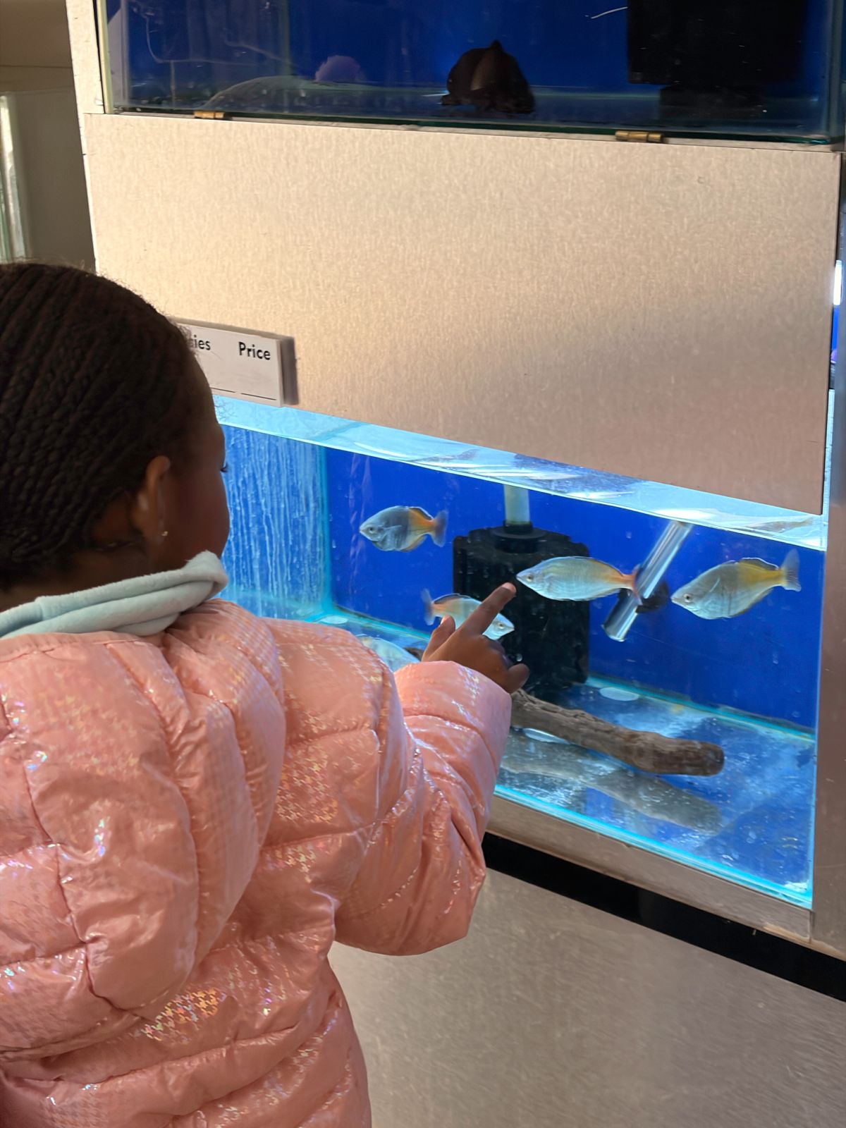 WILDTHINGZ FIELDTRIP 2026 71